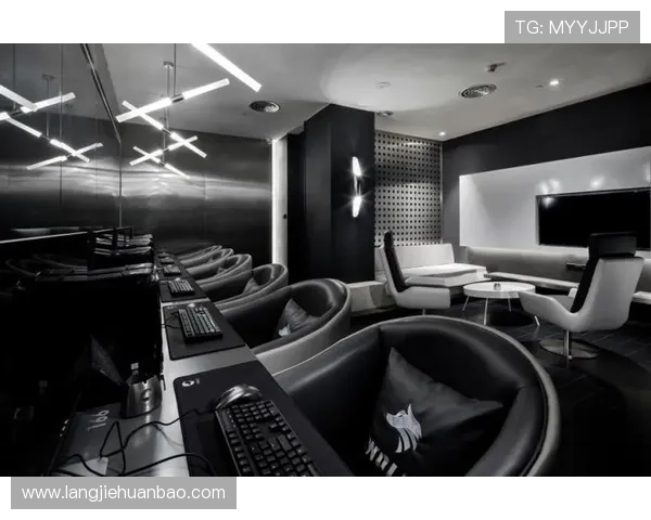 提升你的电竞体验:K8.com凯发电竞提供的专业技术支持与客户服务分析