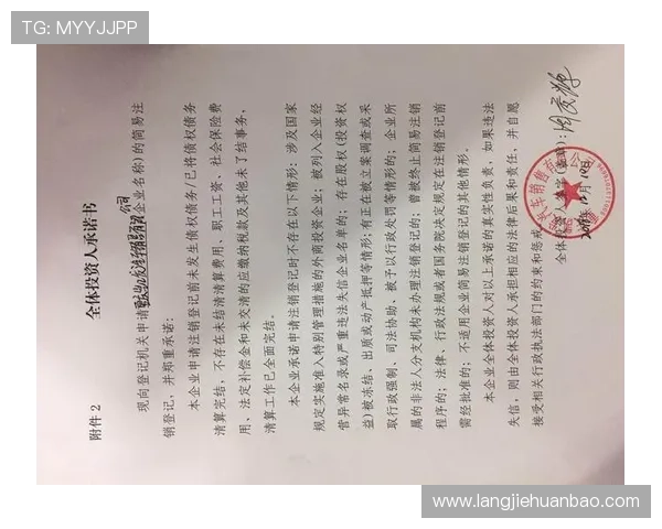 凯发网站登录入口操作流程详解，快速掌握登录步骤提升体验